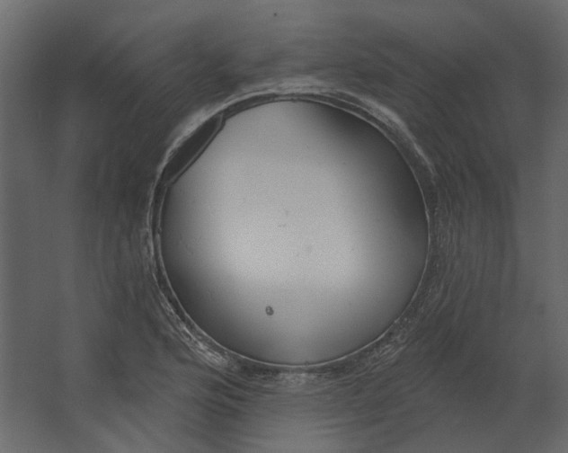 X0000067491176200604211651