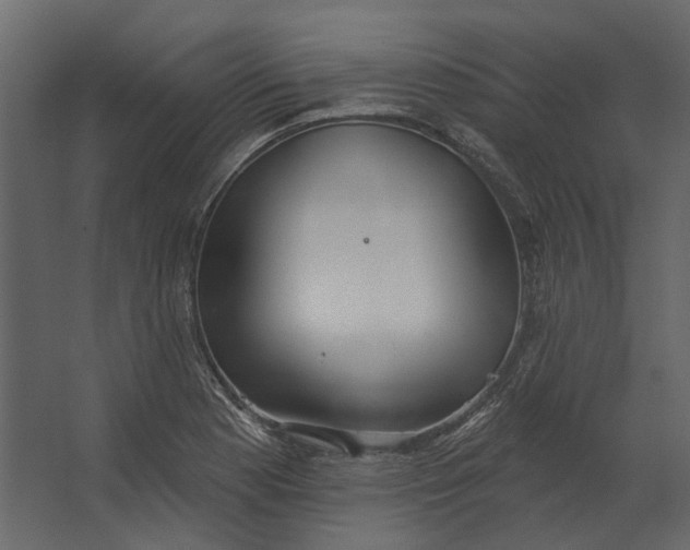 X0000067491177200604211651