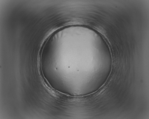 X0000067491179200604211651