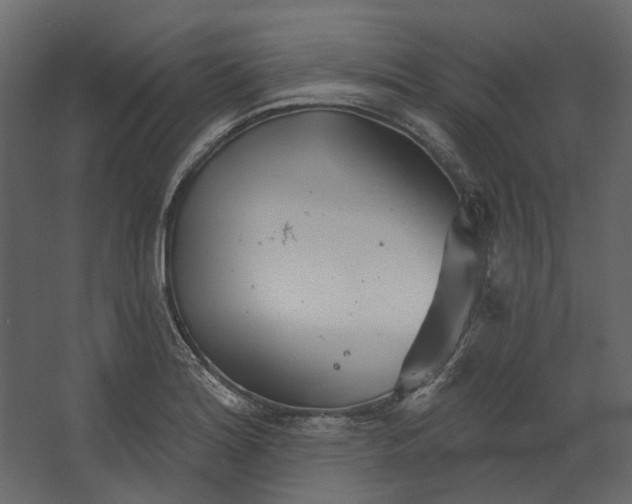 X0000067491180200604211651