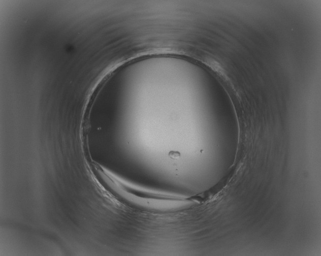 X0000067491181200604211651