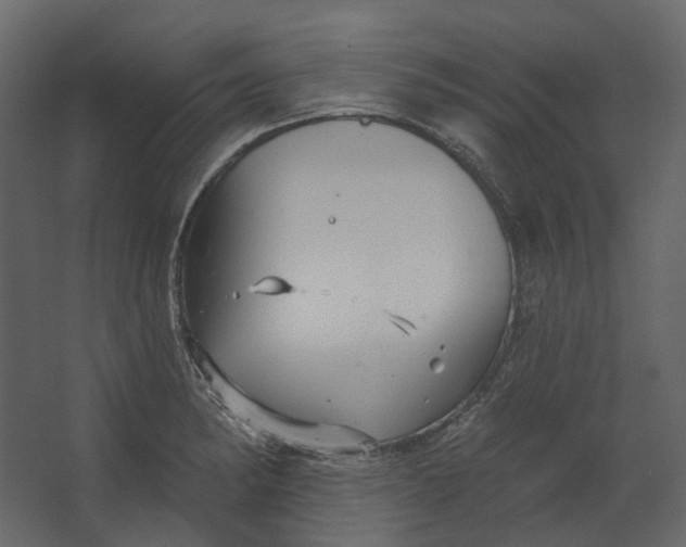 X0000067491182200604211651