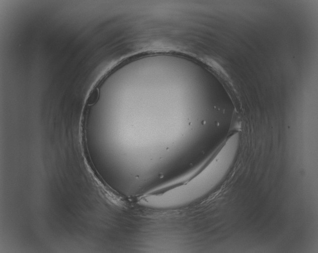 X0000067491183200604211651