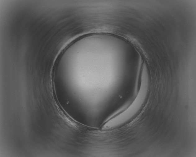 X0000067491184200604211651