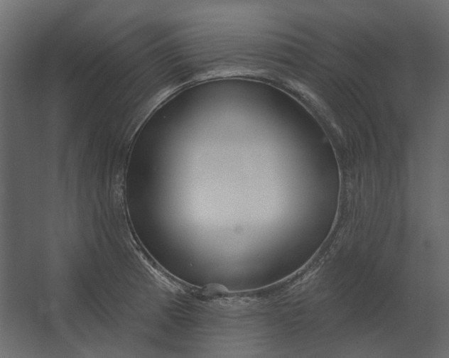 X0000067491185200604211651