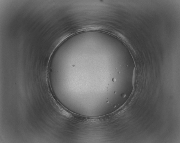 X0000067491186200604211651