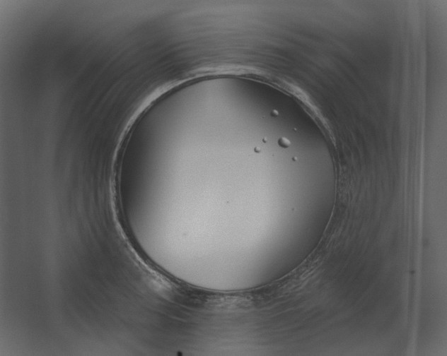 X0000067491187200604211651