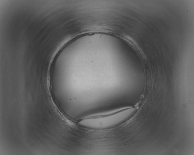 X0000067491188200604211651