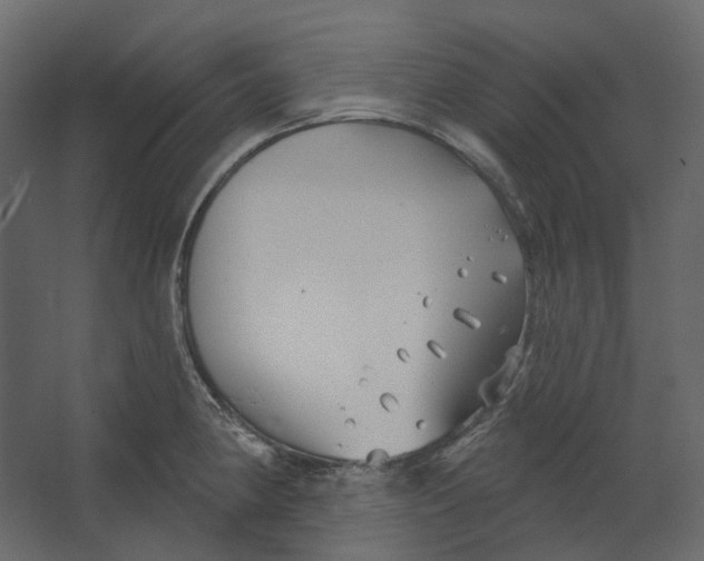 X0000067491190200604211651