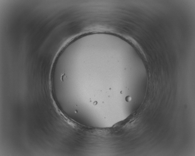 X0000067491191200604211651