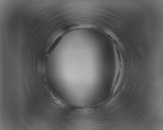 X0000067491193200604211651