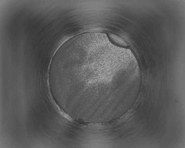 X0000067491194200604211651