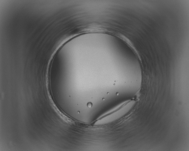 X0000067491195200604211651