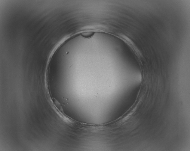 X0000067491196200604211651