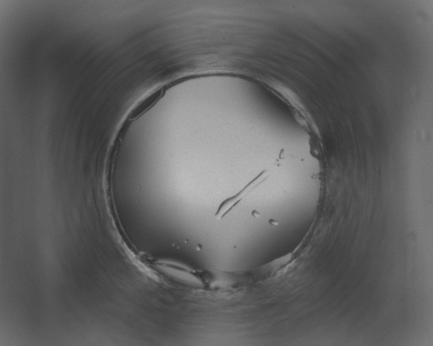 X0000067491197200604211651