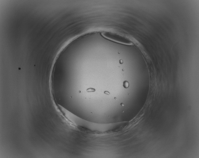 X0000067491199200604211651