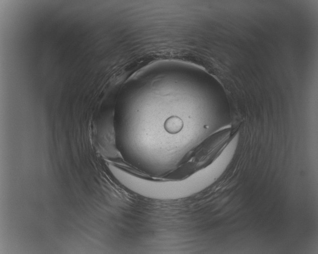 X0000067491202200604211650