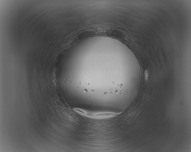 X0000067491203200604211650