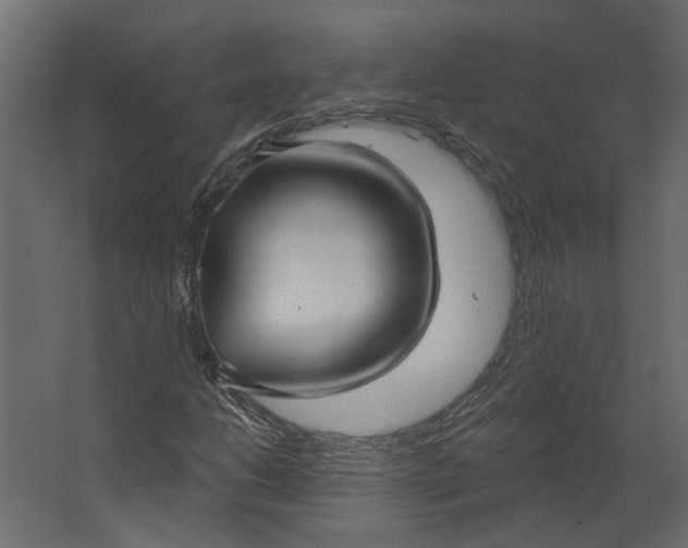 X0000067491206200604211650