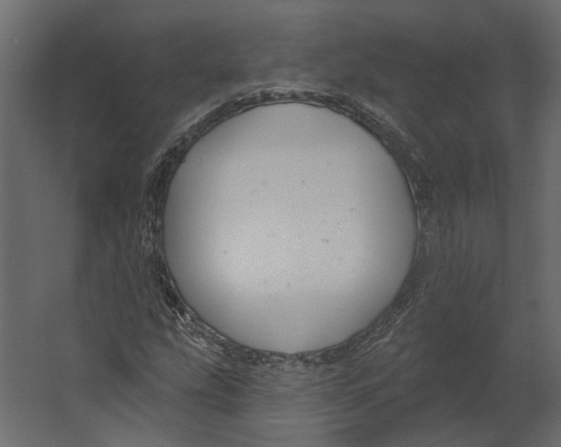 X0000067491207200604211650