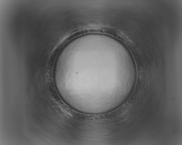 X0000067491208200604211650