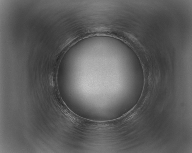 X0000067491209200604211650