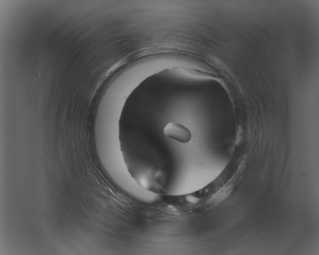 X0000067491210200604211650