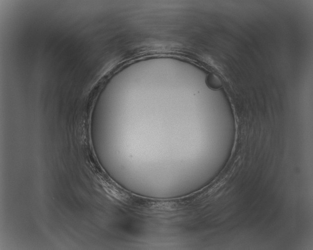 X0000067491211200604211650