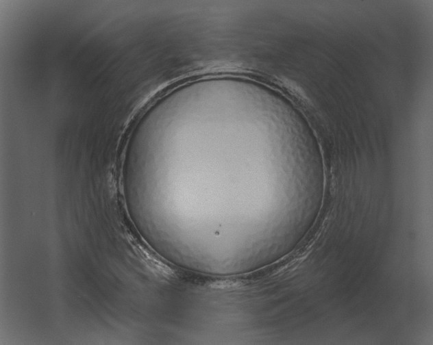 X0000067491212200604211650