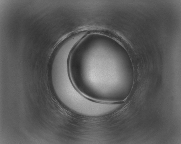 X0000067491213200604211650