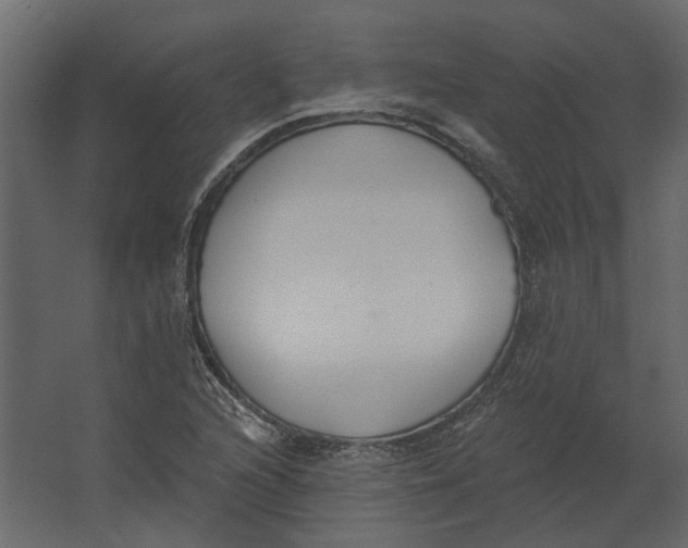 X0000067491216200604211650