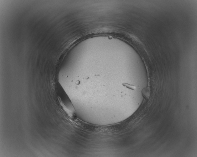 X0000067491217200604211650