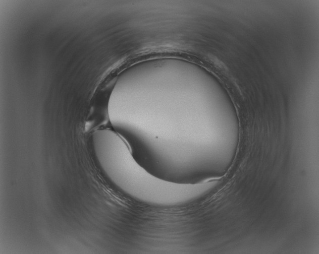 X0000067491218200604211650