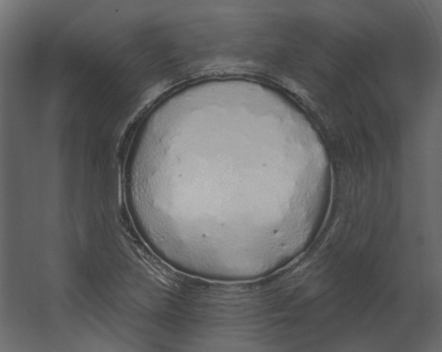 X0000067491219200604211650