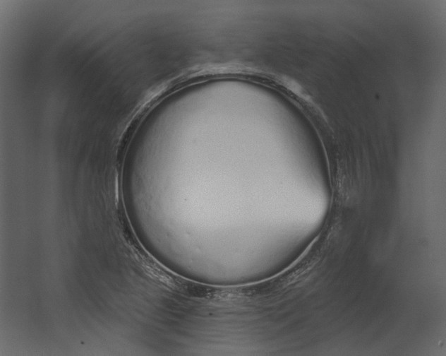 X0000067491221200604211650