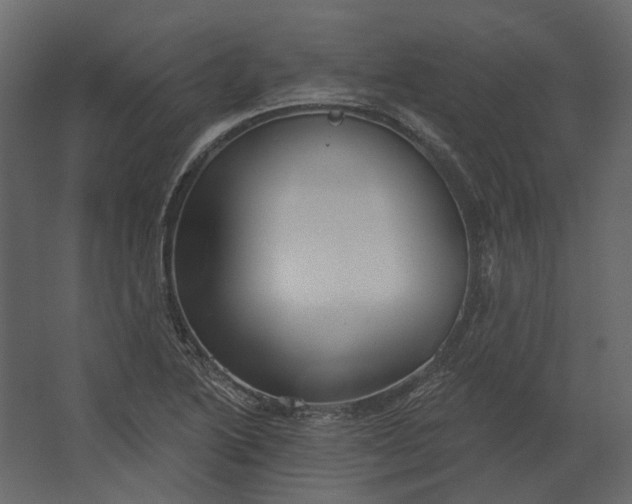 X0000067491222200604211650