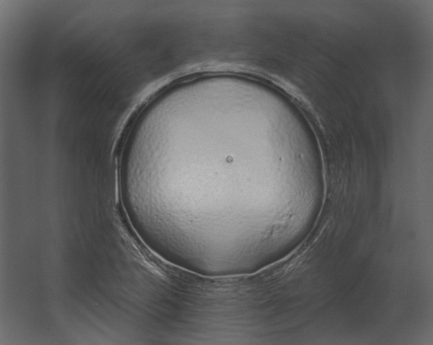 X0000067491223200604211650