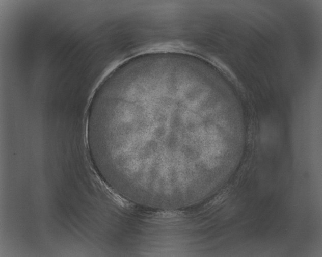 X0000067491224200604211650