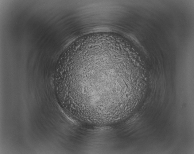 X0000067491225200604211650