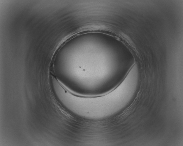 X0000067491226200604211650