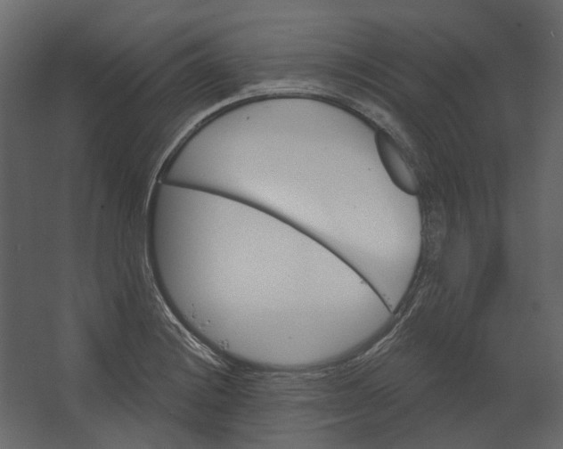 X0000067491228200604211650