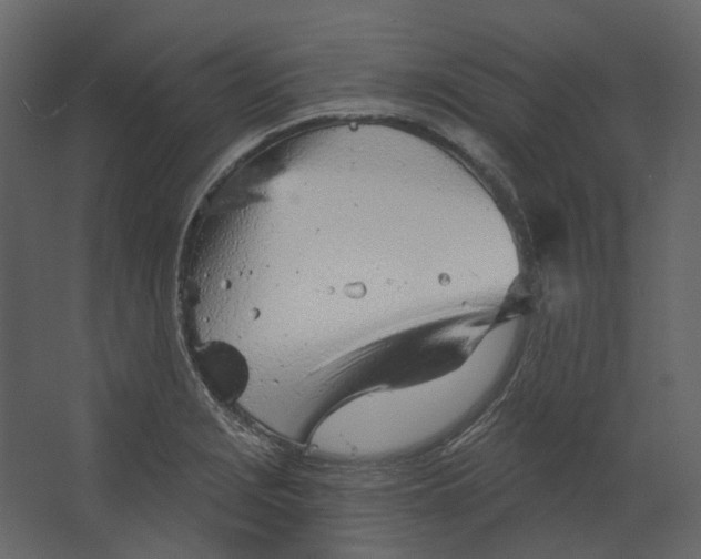 X0000067491229200604211650