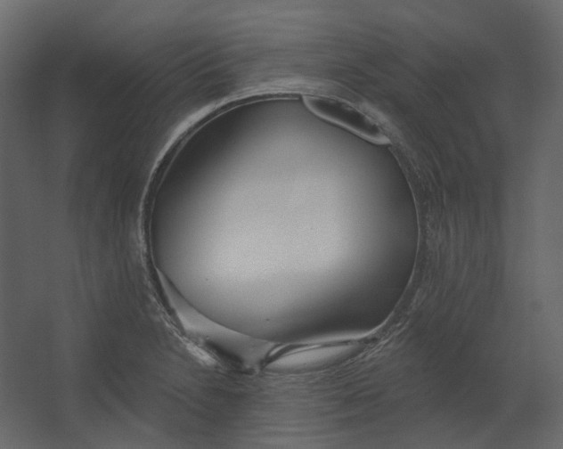 X0000067491230200604211650