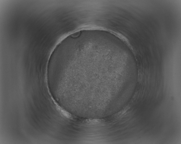 X0000067491231200604211650