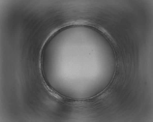 X0000067491232200604211650