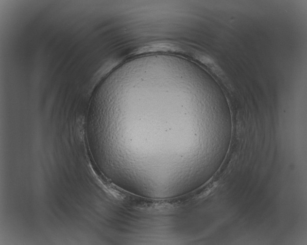 X0000067491233200604211650