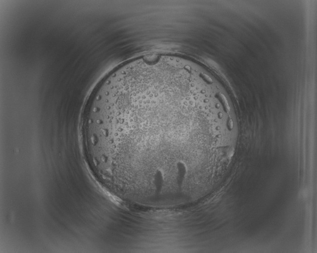 X0000067491235200604211650