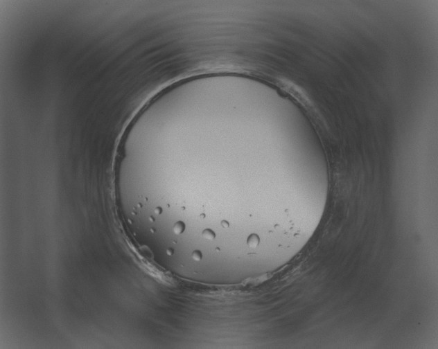 X0000067491236200604211650