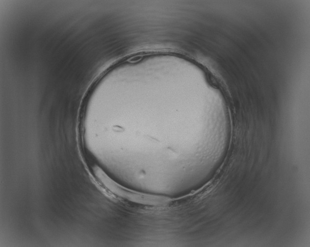 X0000067491237200604211650