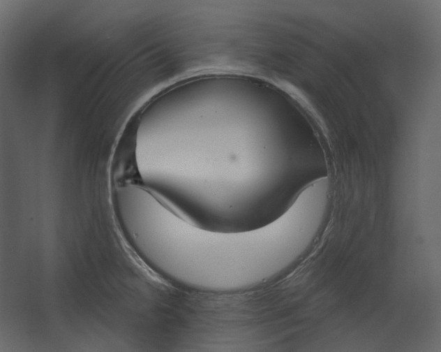 X0000067491238200604211650